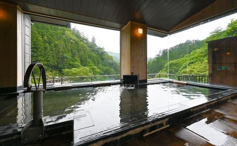 【名栗温泉 大松閣】展望大浴場での入浴付き 山の茶屋 ペア食事券　HNNG001