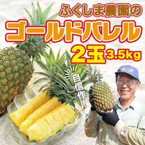 【ふるなびWEEK対象】ゴールドバレル【パインアップル】(2玉）約3.5kg　ふくしま農園の自信作！◆2026年発送◆ ゴールドバレル パイナップル 高品質 新鮮 ジューシー 希少 高い糖度 大玉 甘い トロピカル パイン 生産量日本一 高級フルーツ 南国フルーツ 国産フルーツ 完熟 福島 農家直送 沖縄 東村 ［■提供事業者：ふくしま農園］