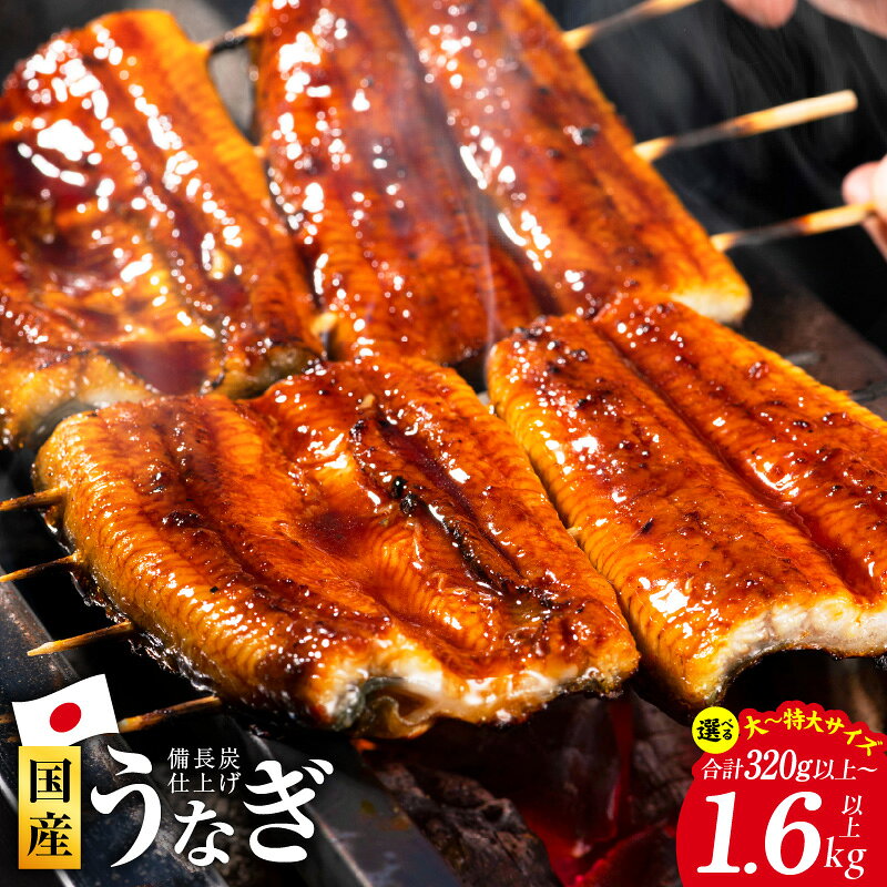 【ふるさと納税】うなぎ 蒲焼 2尾 ~ 10尾 合計 320g以上 ~ 1600g以上 タレ 秘伝のタレ 国産 炭火焼き 手焼き 備長炭 香ばしい 電子レンジ対応 湯煎 簡単調理 ふんわり ふっくら パリッと 鰻 うなぎ蒲焼 丼 ひつまぶし 冷凍 大阪府 泉佐野市 送料無料