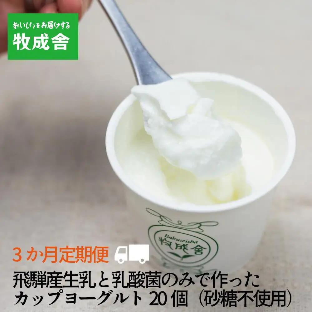 ＜牧成舎定期便 3カ月＞生乳100％ 砂糖不使用プレーンヨーグルト20個 ヨーグルト DF119