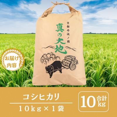ふるさと納税 南丹市 令和7年産 京都丹波産 コシヒカリ 10kg |  | 01