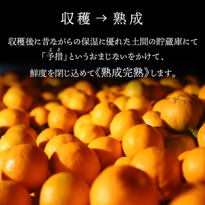 S117-006_香りを食す！熟成完熟天草ぽんかん 2月発送 約5kg箱 秀品〈先行受付〉