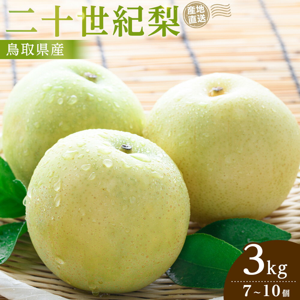 【ふるさと納税】【2026年9月発送】二十世紀梨 3kg | 先行予約 梨 なし 果物 フルーツ 3キロ 鳥取県産 北栄町 おすすめ 人気