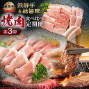 【ふるさと納税】 飛騨牛 & 結旨豚 定期便 3回 お届け 白川郷 焼肉 焼き肉 やきにく もも ロース カルビ 赤身 霜降り 食べ比べ 肉 牛肉 国産 A4 A5 等級 てんから 岐阜県 白川村 ゆいうまぶた 贅沢 BBQ アウトドア 冷蔵 簡易梱包 のため 訳あり 訳アリ 50000円 5万円 [S575]