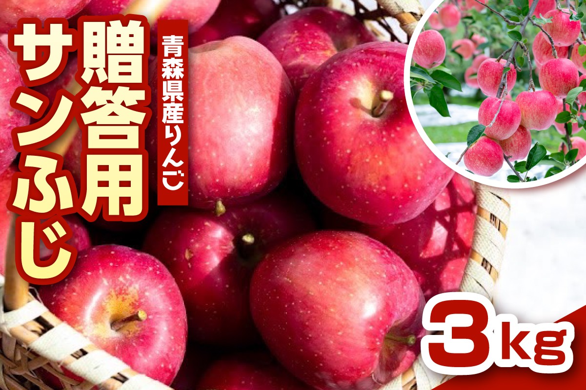 
            りんご　青森 サンふじ 3kg 程度 《 贈答用 》 農家直送 【配送時期が選べる： 11月 12月 】サンフジ 青森県 五所川原市 贈答 プレゼント 贈り物 林檎 リンゴ apple
          