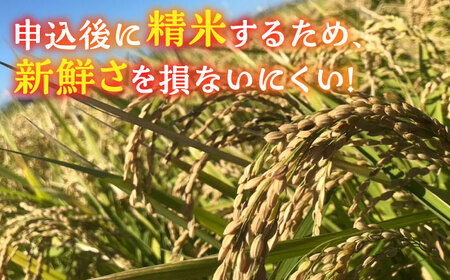 【先行予約】津田くん農園の夢つくし 10㎏【2024年10月以降順次発送】《豊前市》【株式会社くしだ企画】米 白米 お米 ご飯 [VDG002]