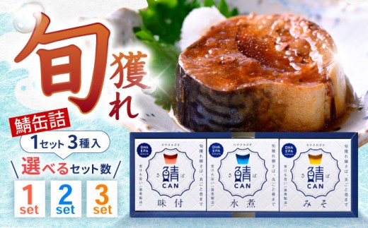 旬獲れ 鯖缶詰　3ヶ詰め合わせ(味付・味噌・水煮) [BFAA054]