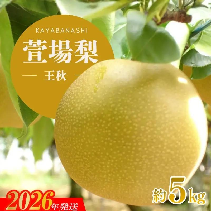 No.3348 萱場梨 王秋  約5kg（7～12個）【2026年発送】