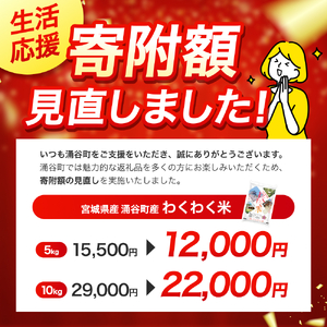 【ふるさと納税】宮城県産三大銘柄いいとこ取りブレンド米 わくわく米 5kg×2袋入 計10kg◆｜ お米 精米 白米 ひとめぼれ ササニシキ つや姫 宮城県産 三大銘柄【araseki003】