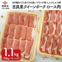 【ふるさと納税】豚肉 ポーク スライス 『吉良里クイーンポーク』ロースしゃぶしゃぶ用　550g×2個　A051-15/豚肉 ロース 国産 日本産 食品 豚ロース 冷凍