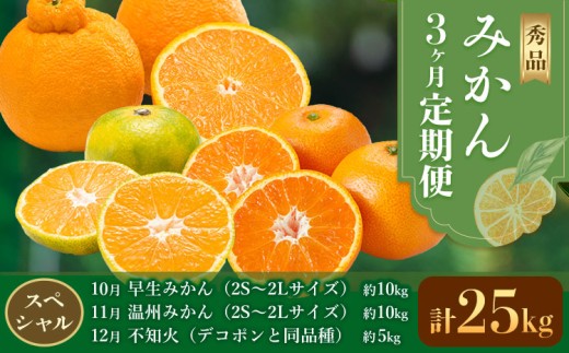 秀品 みかん 3ヶ月定期便 【スペシャル：計25kg】 日本フルーツ株式会社《2025年10月上旬-12月末頃出荷》熊本県 長洲町 早生みかん 温州みかん 不知火 果物 フルーツ スイーツ デザート ギフト ご贈答