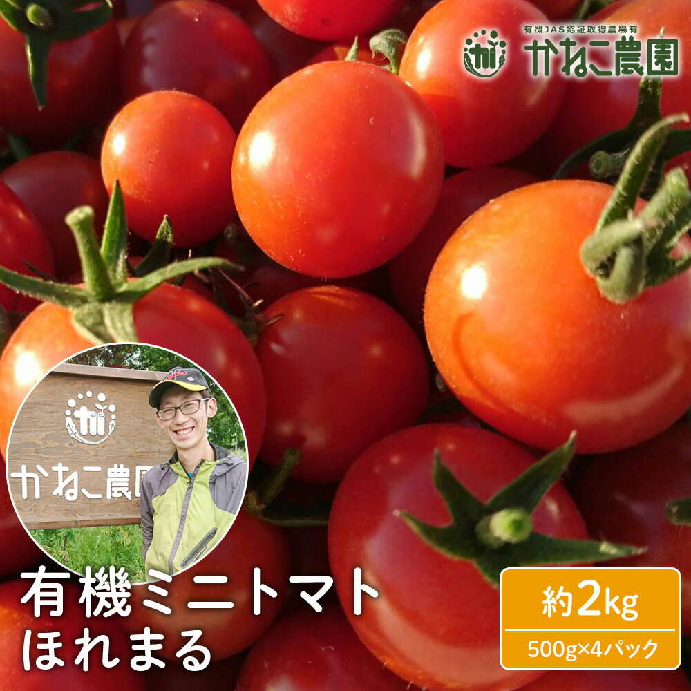 【ふるさと納税】【2026年7月下旬より発送】甘さに惚れる！北海道千歳産 有機栽培ミニトマト 「ほれまる」 2kg（500gパック*4）【かねこ農園】北海道ふるさと納税 野菜 ミニトマト 有機栽培 有機ミニトマト ほれまる JAS認定圃場 北海道 【北海道千歳市】