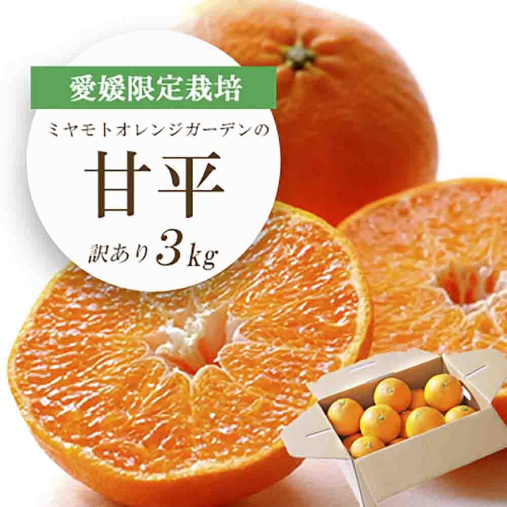
                  愛媛限定栽培柑橘 甘平(かんぺい)3kg＜訳あり＞＜E25-137＞【1138005】 YWTAP080
                