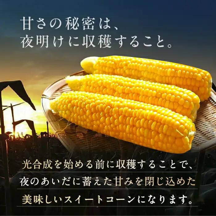 【先行予約】夜明けのスイートコーン 4kg×2箱 14-20本 [VCO002] コーン とうもろこし