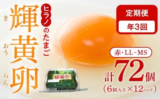 【定期便3回】輝黄卵（きおうらん）72個（6個入り×12パック）