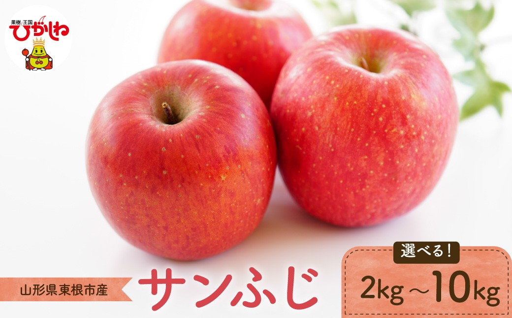 
                  【2026年産】 りんご「サンふじ」 （選べる内容量：2kg / 3kg / 5kg / 10kg） よってけポポラ提供 山形県 東根市 hi003-170-o
                