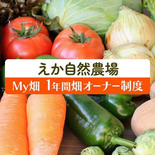 【ふるさと納税】MY畑 (1年間 畑オーナー制度) 株式会社えか自然農場《30日以内に出荷予定(土日祝除く)》千葉県 流山市 野菜 畑 やさい オーナー 流山市