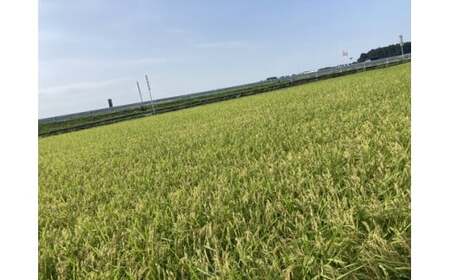 栃木県高根沢町産コシヒカリ（精米）5kg ※北海道・沖縄・離島への配送不可