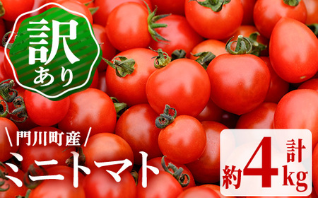 訳あり・規格外！数量限定の門川町産ミニトマト(計約4kg)フルーツトマト とまと 野菜 キャロルパッション 小鈴 プレミアムルビー アイコ ミックス 生 旬野菜 冷蔵【X-11】【いけとも農園】