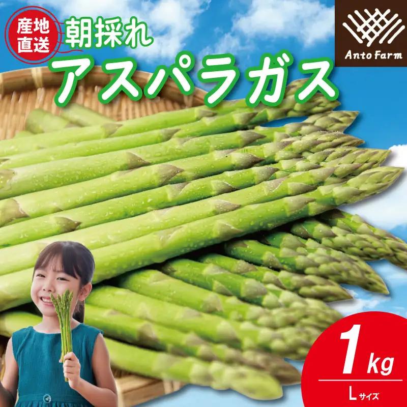 アスパラガス Lサイズ 1kg アスパラガス