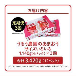 【定期便 3回】うるう農園の特別栽培あまおう サイズ色々4パック1140g×3回 