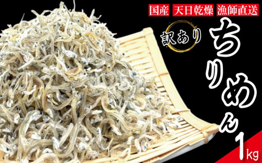 【獲れたて即加工！】 ちりめん 訳あり 1kg ちりめんじゃこ 選べる 容量 訳アリ ご飯 米 お米 おにぎり と一緒に 弁当 新鮮 鮮度 カルシウム 食品 健康 栄養 ギフト プレゼント 贈答 お歳暮 徳島 小松島