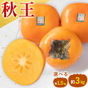 【ふるさと納税】柿 秋王 約1.5kg（4-6玉） または 約3kg（8-12玉） 南国フルーツ株式会社 《10月上旬-11月末頃出荷》福岡県 小竹町 福岡県産 柿 フルーツ 果物