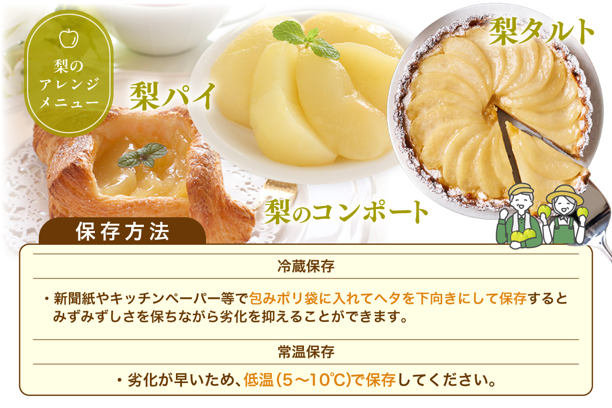 《2026年産 先行予約》 梨 二十世紀梨 香住梨 3kg ご自宅用 優品（Bランク）L～5Lサイズ混合6～10玉 【令和8年8月下旬以降発送予定】 20世紀梨 青梨 和梨  76-03