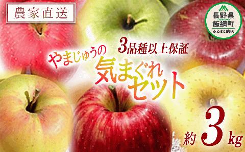 りんご 3品種以上保証 気まぐれセット 3kg 詰め合わせ やまじゅうファーム 沖縄県配送不可 2024年11月中旬～2024年12月下旬頃順次発送予定 R6年度収穫 長野県 飯綱町 [1538]