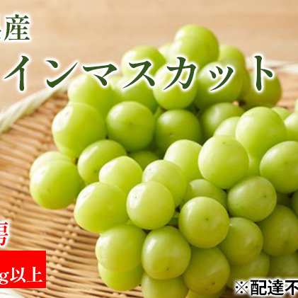 ぶどう 2024年 先行予約 シャイン マスカット 3房 合計2.1kg以上 マスカット ブドウ 葡萄  岡山県産 国産 フルーツ 果物 ギフト