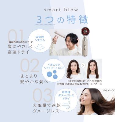 ふるさと納税 つくばみらい市 LINKA リンカ スマートブロウ ヘアドライヤー(遠赤外線 イオンドライヤー) |  | 01