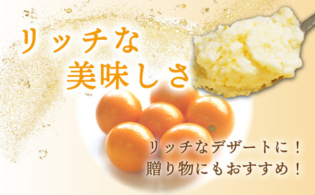 AQ-A1 串間市産きんかんたまたま使用！たまリッチアイス詰合せ(9個)【たまたまクラブ】