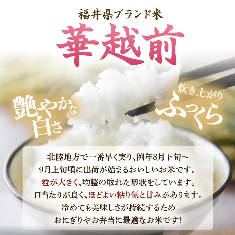 【先行予約】【令和8年産】【10月上旬以降発送】 華越前 無洗米 5kg / 米 5キロ ハナエチゼン はなえちぜん 北陸 福井県産 あわら市 ブランド米 白米 お米 コメ こめ kome ※2026
