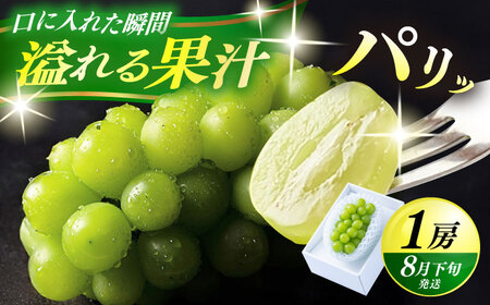 【先行予約・26年8月以降発送】日田産シャインマスカット 1房(約500g) ブドウ 葡萄 シャインマスカット【配送不可地域：離島】 [ARET004]