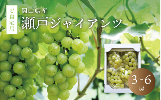 真庭市産 瀬戸ジャイアンツ 自宅用3～6房 ぶどう 岡山 真庭 葡萄 2025年9月中旬以降発送予定 果物 フルーツ ブドウ 人気 数量限定 ご家庭用 皮ごと 種なし 産地直送 お買い得 甘い 新鮮 数量限定 桃太郎ぶどう 大粒 新食感 フルーツ王国 人気上昇中 【seto02】