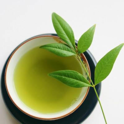 ふるさと納税 大川市 八女茶【上】煎茶セット　100g×2袋(大川市) |  | 03
