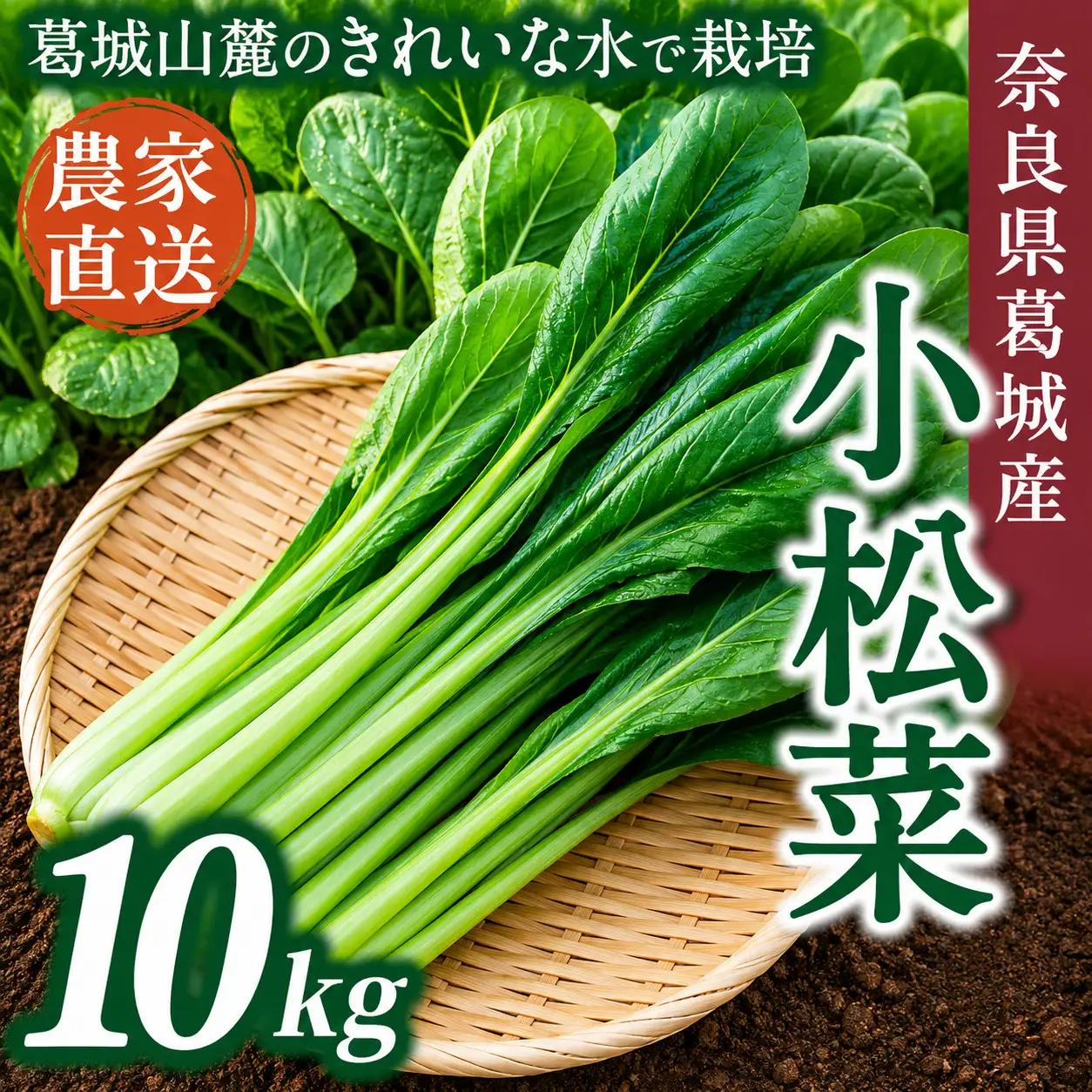 奈良県産 小松菜 約10kg  【順次発送】 葛城市【smlk063】