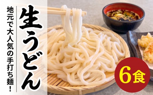手打ちうどん 6食(2食×3袋) うどん 麺 麺類 めん 冷凍 手打ち麺 職人 小分け ウドン 簡単 簡単調理 生麺 なま麺 小麦 小麦粉 製麺 もちもち つるつる 三陸 岩手県 大船渡市