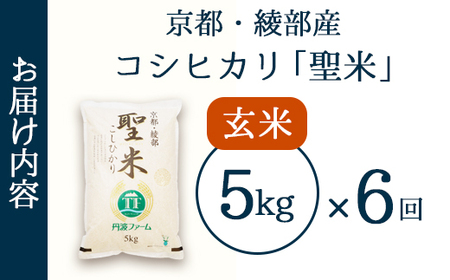 【定期便6回】聖米(玄米) 5kg×6回 / 米 玄米 定期便 綾部市 / 有限会社カメイ［BSDY069］
