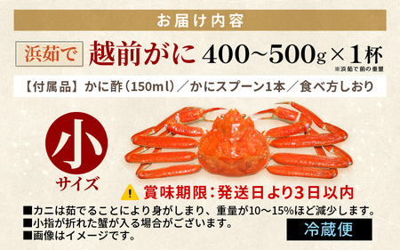 越前がに本場の越前町からお届け！浜茹で 越前がに 小サイズ（生で400～500g） × 1杯 かに酢 食べ方しおり スプーン付き【かに カニ 蟹 雄 ズワイガニ ずわいがに 姿 ボイル 福井県 冷蔵】