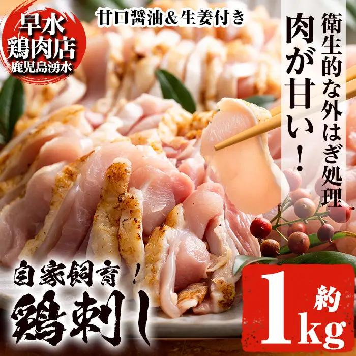 鳥刺し 鶏刺し 鹿児島県産 自家製鶏 鶏刺し 計1kg【早水鶏肉店】_y128