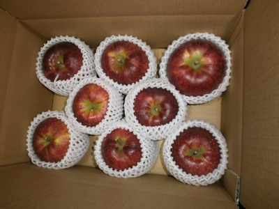 【2026年先行予約】りんご 秋映2kg |りんご 秋映