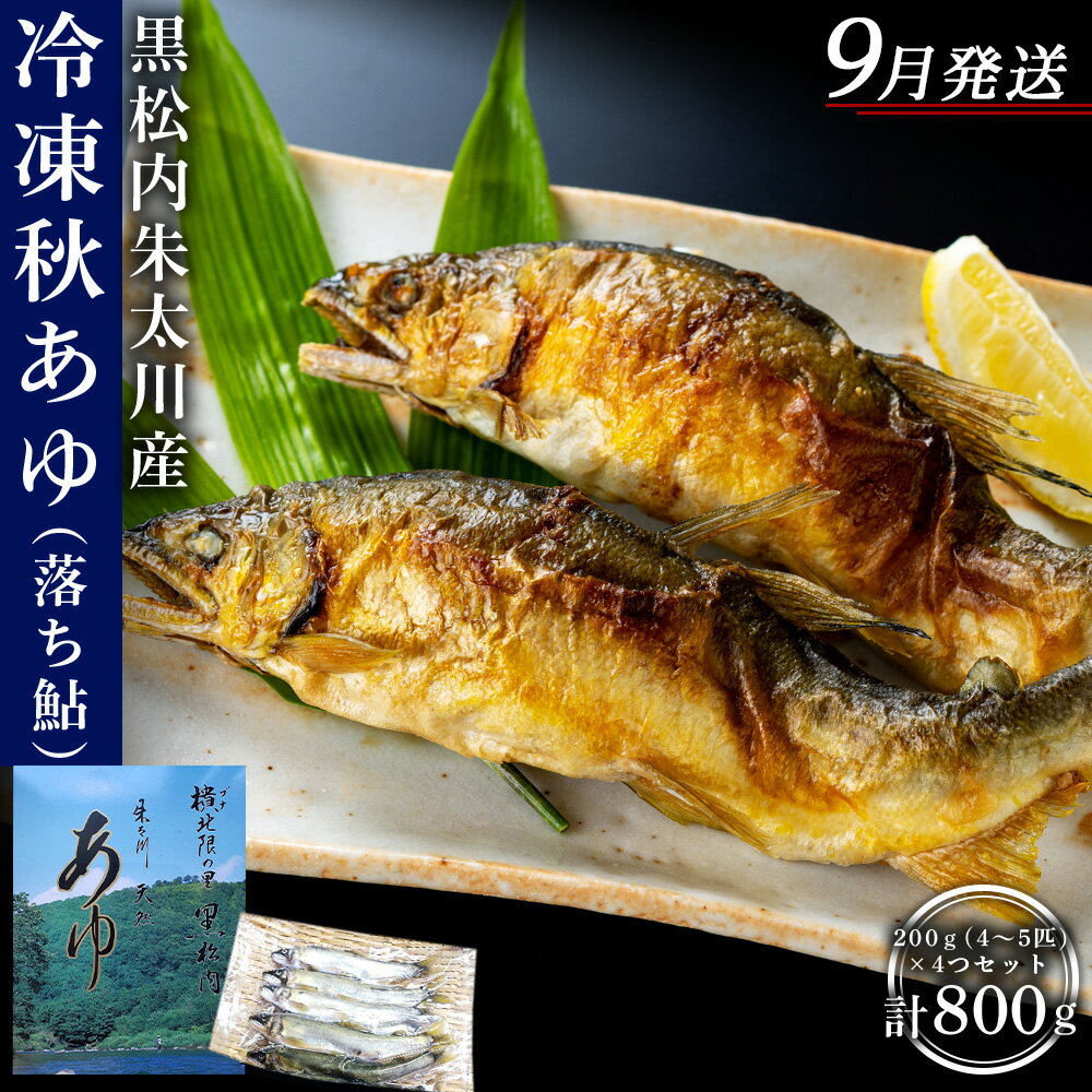 【ふるさと納税】【2026年9月発送】【先行予約】黒松内朱太川産 冷凍秋あゆ（落ち鮎）セット（200g×4つ 計800g）【数量限定】天然 あゆ 秋鮎 冷凍 落ち鮎 真空パック さび鮎 北海道ふるさと納税 ふるさと納税 北海道 黒松内町 通販 ギフト 贈答品 贈り物