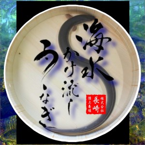 【B6-024】数量限定！海水かけ流しうなぎ蒲焼2尾
