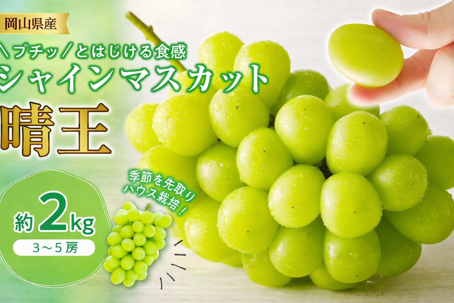 【ふるさと納税】シャインマスカット 晴王 ハウス栽培 約2kg 岡山県産 ぶどう御中元 ギフト 御礼 プレゼント 御礼 御祝 御供 果物 くだもの フルーツ　土-23