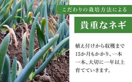 【先行予約】下仁田ネギ２L～３Lサイズ【4kg】 ※数量限定　 ANAR001 / 下仁田ネギ ネギ ねぎ 葱 産地直送 しもにたねぎ しもにたネギ 下仁田ねぎ 下仁田葱 ねぎ焼き ねぎ焼 鍋 すき焼