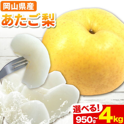 【ふるさと納税】【2026年発送先行予約】 岡山県産 あたご梨 選べる 大玉2玉（950g以上）約4kg（3~6玉）約3kg(3~5玉)【配送不可地域あり】 《11月下旬-12月末頃に出荷予定(土日祝除く)》 岡山県 矢掛町 なし 梨 果物
