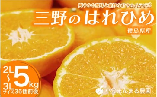 みかん 5kg ( 2L ～ 3L 35個 前後 ) 蜜柑 柑橘 はれひめ オレンジ 国産 数量限定 特産品 期間限定 徳島 三野 フルーツ 果物 みかんジュース オレンジジュース 冷凍みかん ジューシー アイス おやつ デザート おいしい みよし 徳島県 三好市 三野のはれひめ