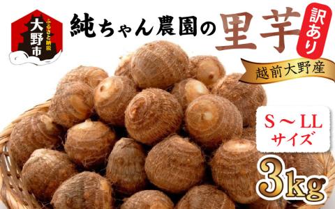 【先行予約】【訳あり】越前大野産 「純ちゃん農園の里芋3kg」サイズS～LL寸【10月中旬より順次発送】