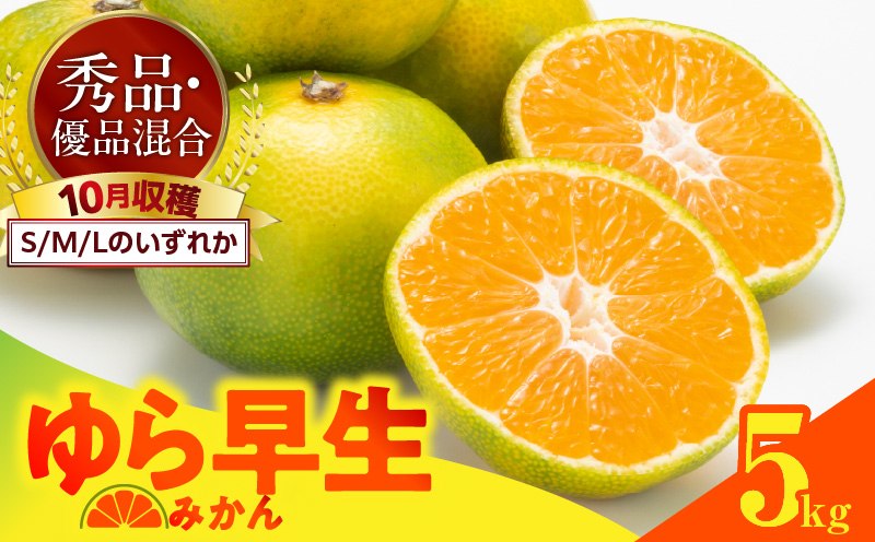 MK1056_【2025年先行予約】ゆら早生 みかん 箱込 5kg ( 内容量 4.4kg ) S M Lサイズのいずれか 秀品 優品 混合 有田みかん 和歌山県産